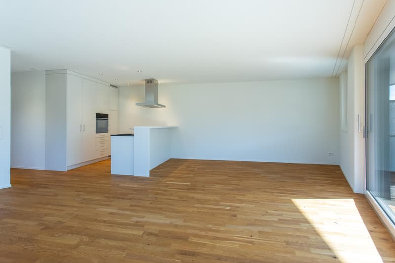 3.5 Zimmerwohnung in Sargans (3)