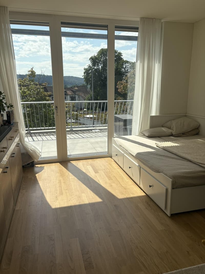 Helle 4.5-Zimmer-Wohnung im beliebten Städtchen Stein am Rhein (5)