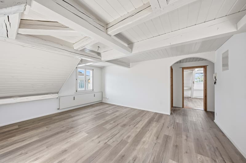 3.5 Zimmerwohnung in Heiden (2)