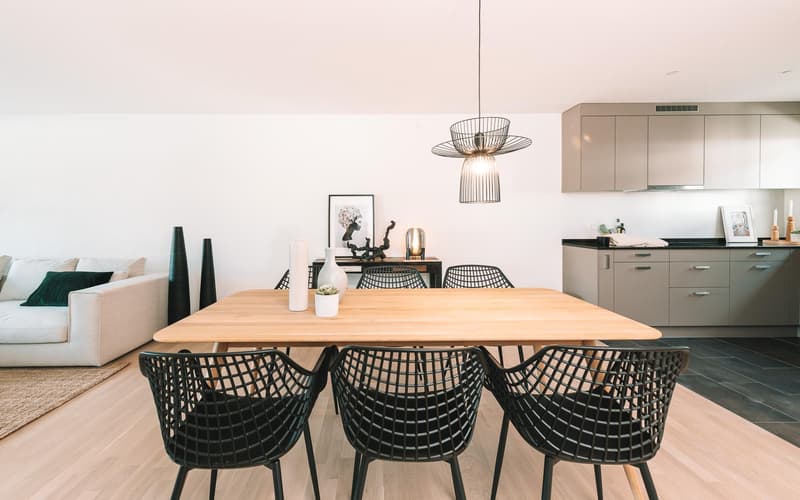Moderne 2.5-Zimmer-Wohnung in Neuhausen am Rheinfall (4)