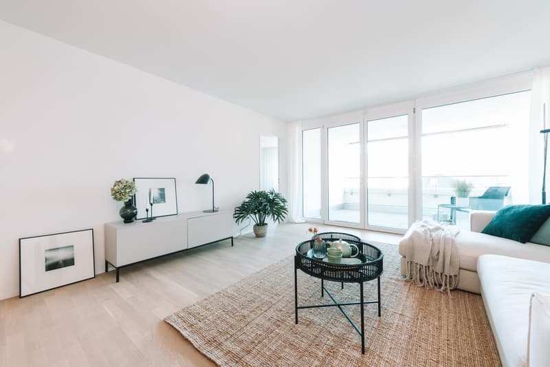 Moderne 2.5-Zimmer-Wohnung in Neuhausen am Rheinfall (6)
