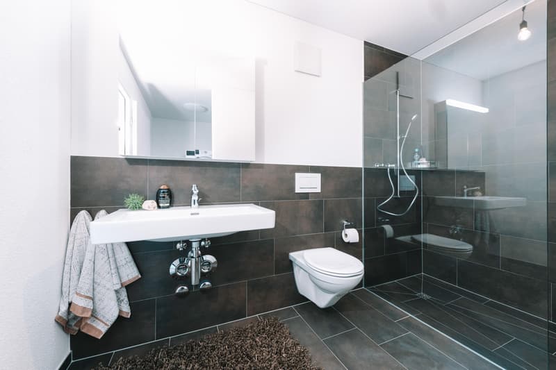 Moderne 2.5-Zimmer-Wohnung in Neuhausen am Rheinfall (8)