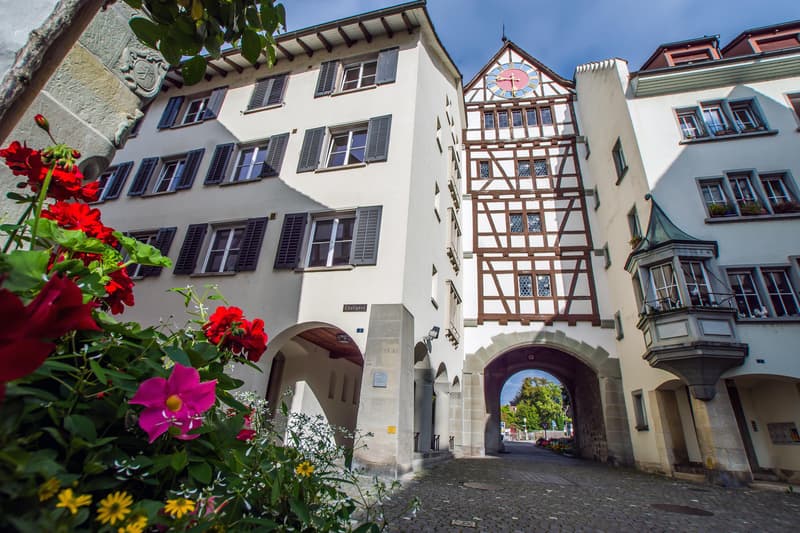 2.5 Zimmerwohnung in Stein am Rhein (1)