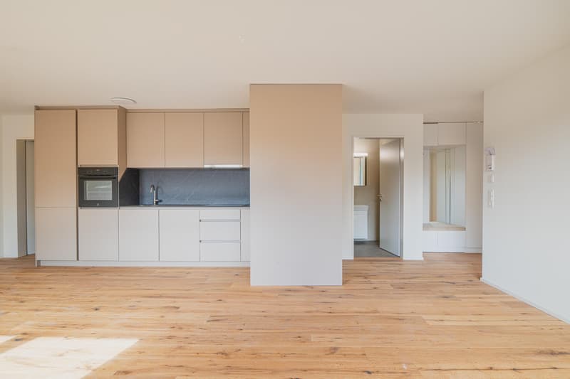 2.5 Zimmerwohnung in Schaffhausen (2)
