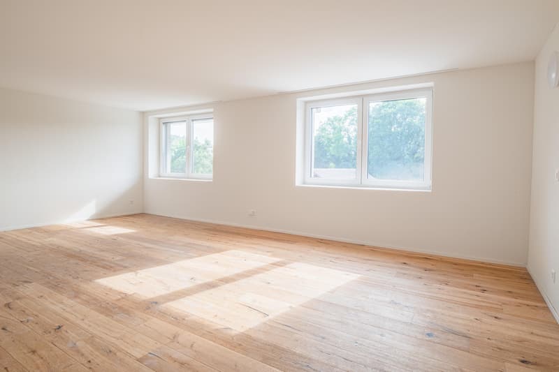 2.5 Zimmerwohnung in Schaffhausen (3)