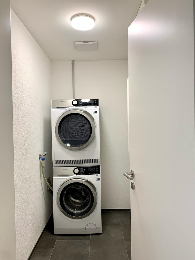 3.5 Zimmerwohnung in Gams (5)