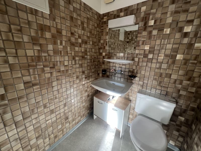 3.5 Zimmerwohnung in Brüttisellen (7)