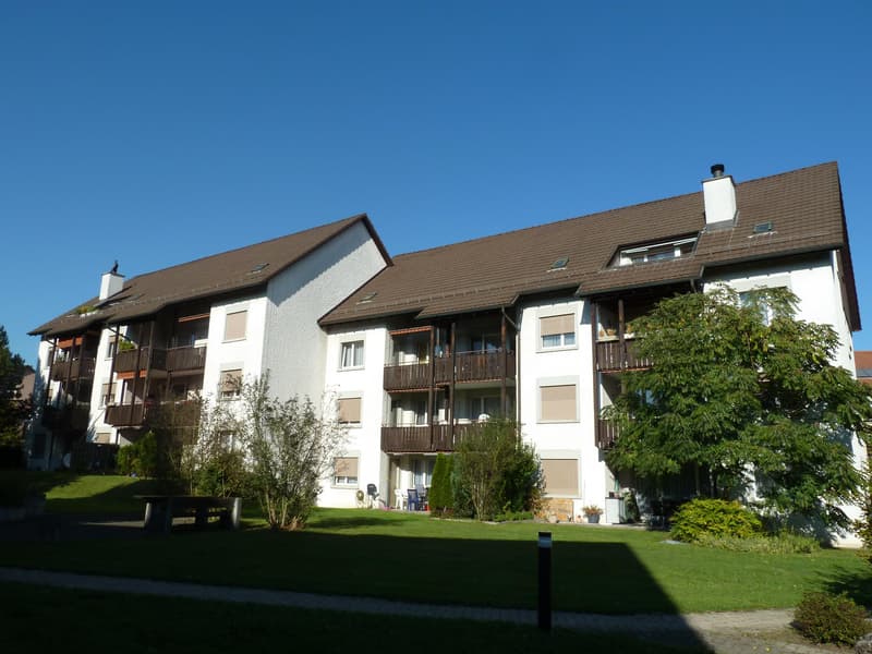 3.5 Zimmerwohnung in Brüttisellen (1)