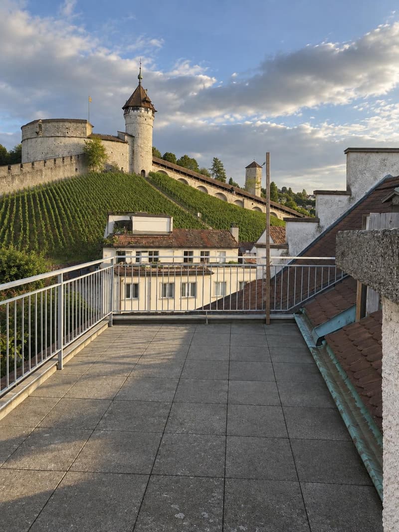 Charmante 3.5 Zimmerwohnung in Schaffhausen (2)