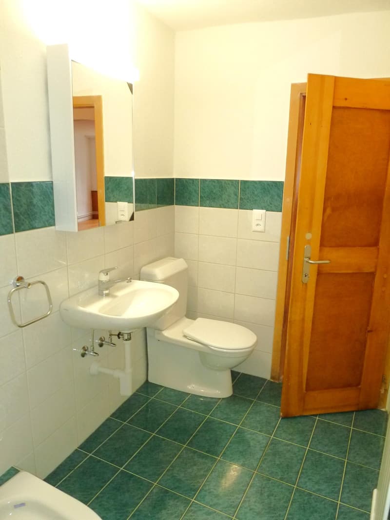1.5 Zimmerwohnung in Schaffhausen (5)