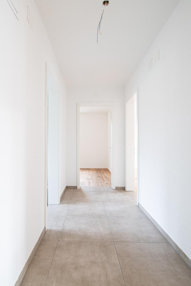 3.5 Zimmerwohnung in Neuhausen am Rheinfall (2)