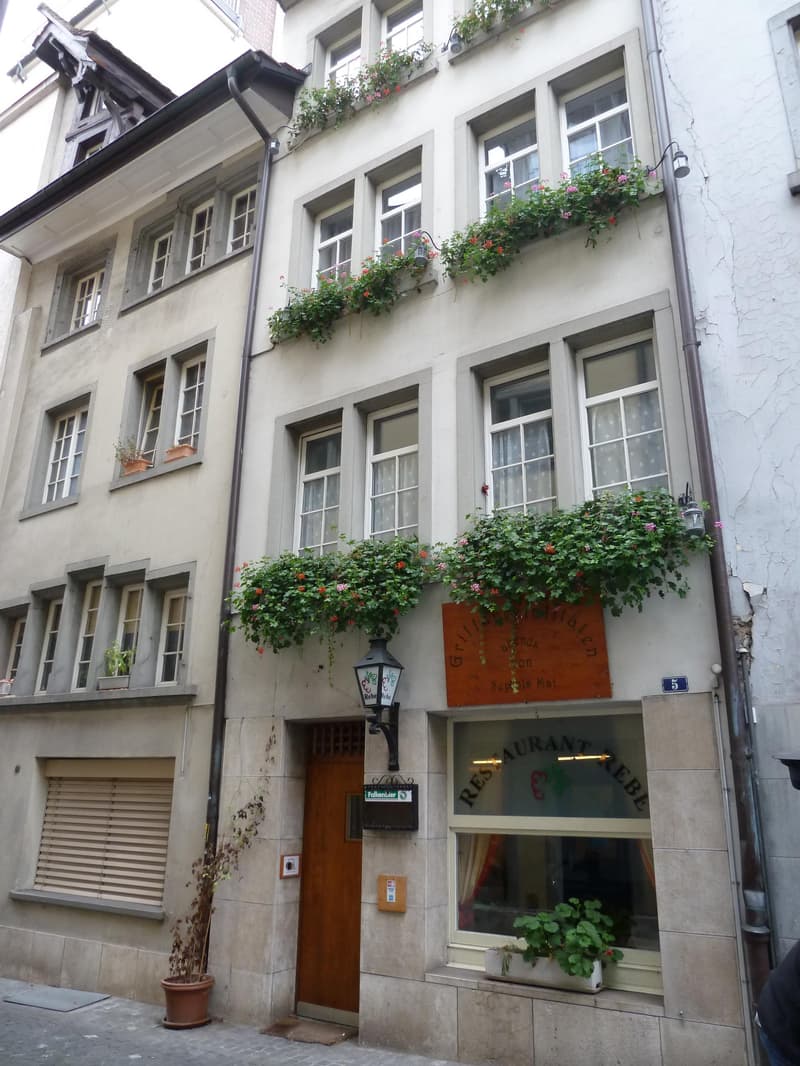 2.0 Zimmerwohnung in Schaffhausen (1)