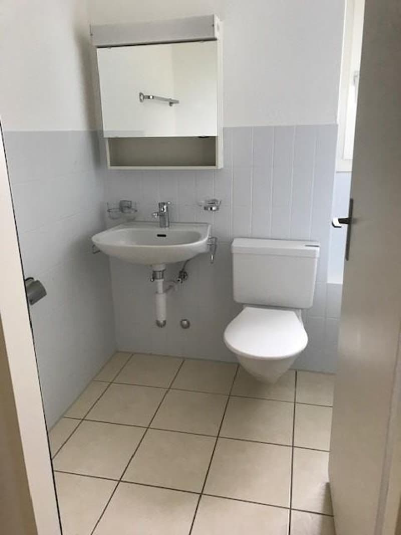 3.5 Zimmerwohnung in Tann / befristet bis 28.02.2030 (3)