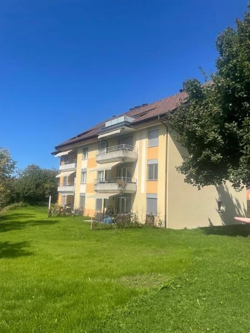 2.5 Zimmerwohnung in Tann / befristet bis 28. Februar 2030 (1)