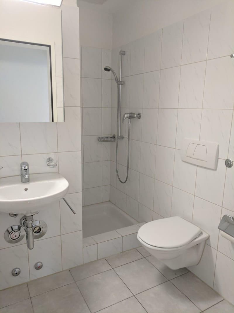 4.5 Zimmerwohnung in Pfungen (11)