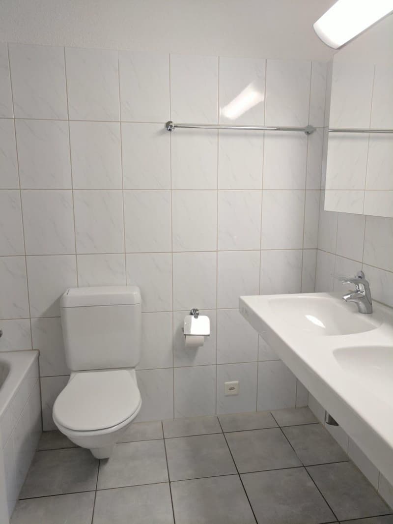 4.5 Zimmerwohnung in Pfungen (10)
