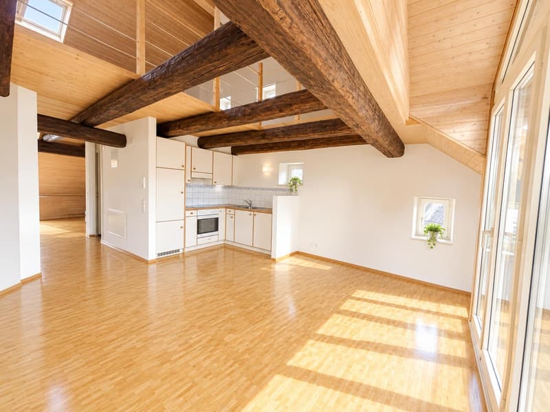 3.0 Zimmerwohnung in Schaffhausen (3)