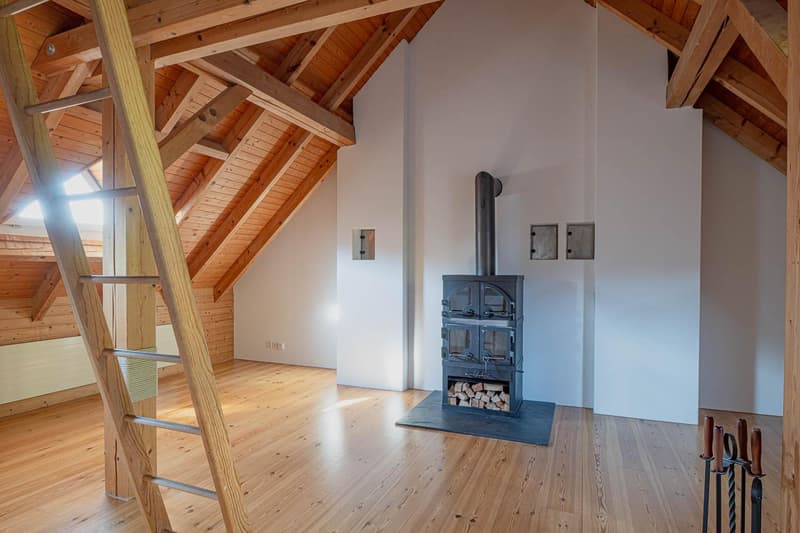 4.5 Zimmerwohnung in Schaffhausen (6)