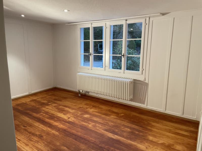 2.5 Zimmerwohnung in Zürich (3)