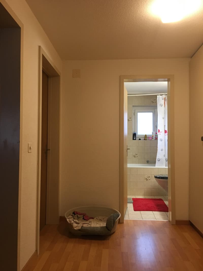 Traumhafte 4.5 Maisonette Wohnung (5)