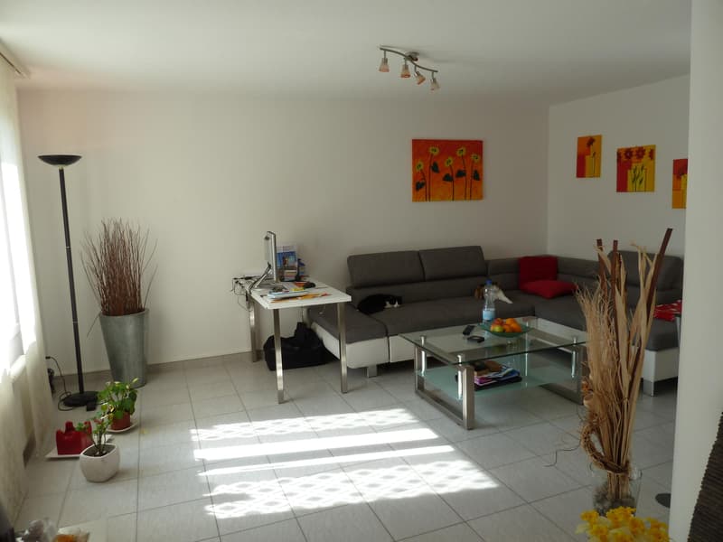 Traumhafte 4.5 Maisonette Wohnung (4)