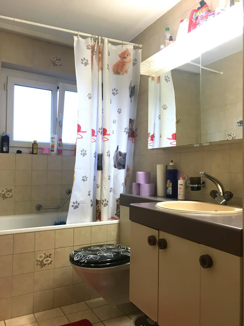 Traumhafte 4.5 Maisonette Wohnung (3)