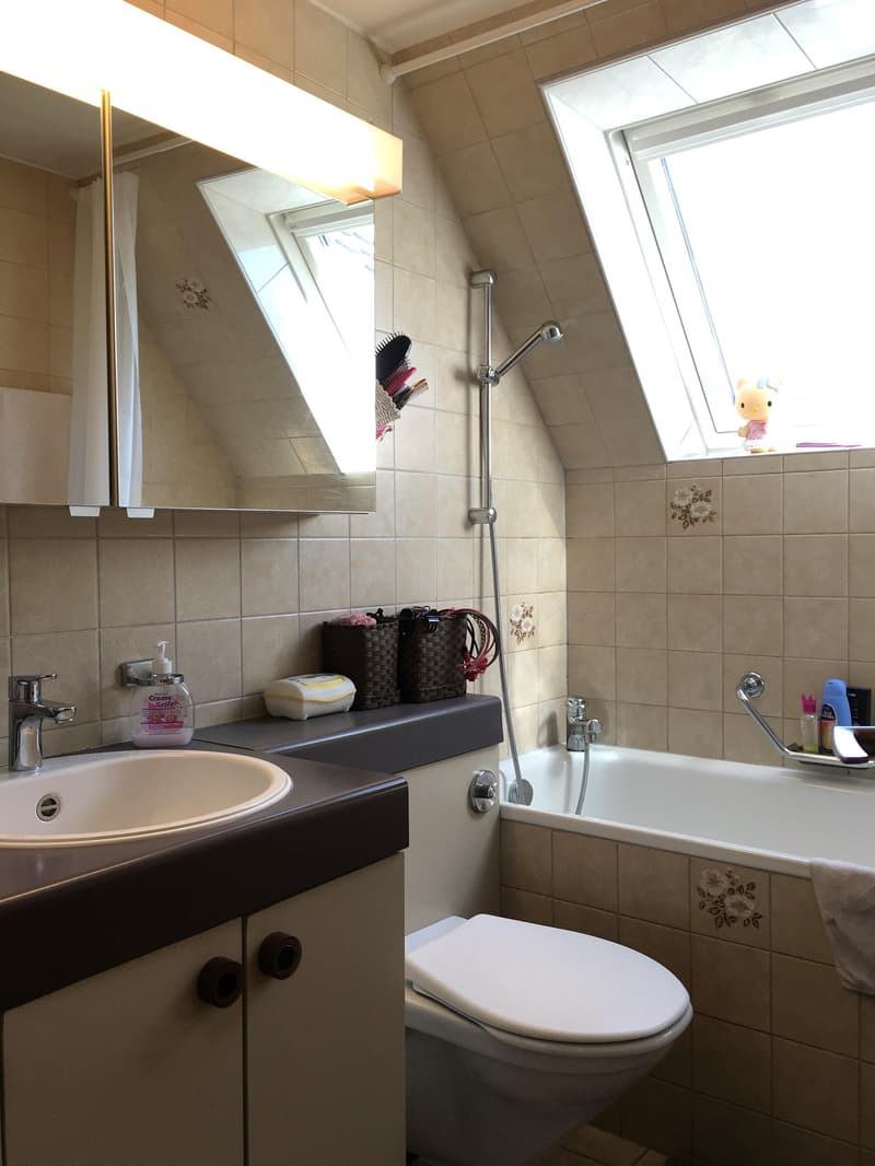 Charmante 4.5-Zimmer-Attika-Wohnung (6)