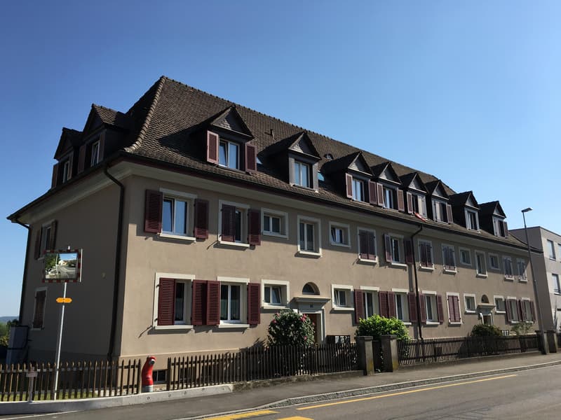 Charmante 4.5-Zimmer-Attika-Wohnung (1)