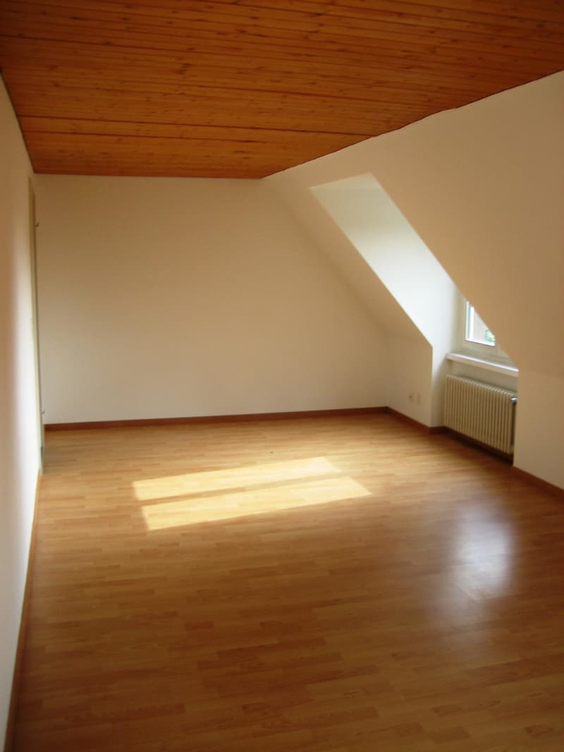 Charmante 4.5-Zimmer-Attika-Wohnung (3)