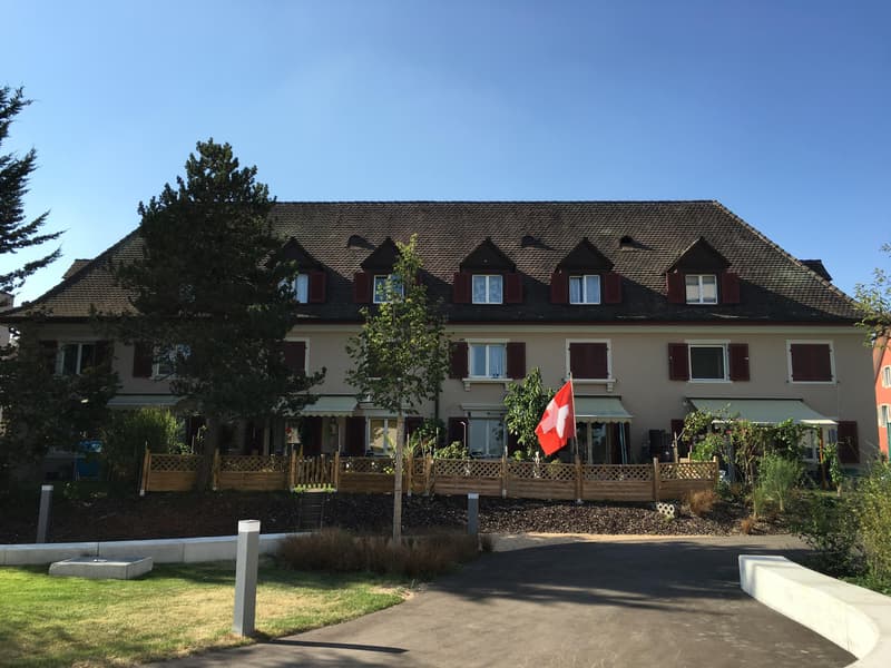 Traumhafte 4.5 Maisonette Wohnung (1)