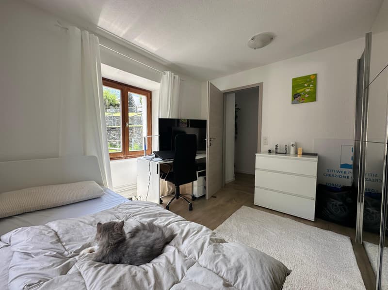 Beautiful 4.5 Charm House with Garden and Pool in Roveredo (6)