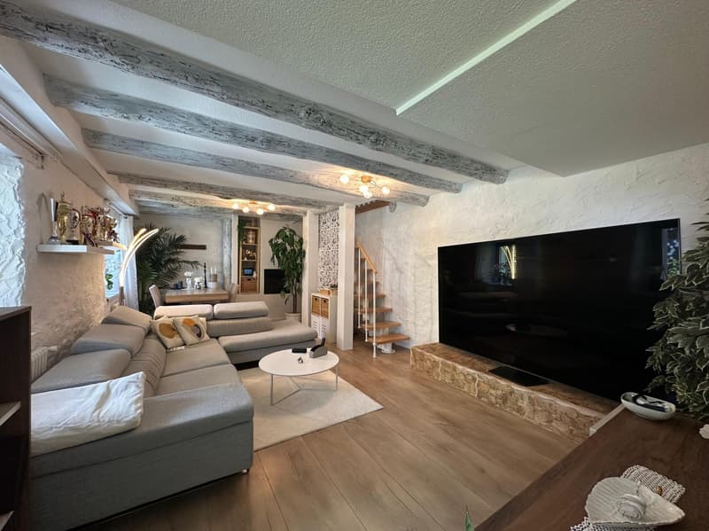 Beautiful 4.5 Charm House with Garden and Pool in Roveredo (4)