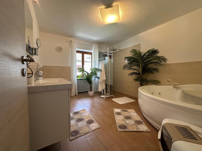 Beautiful 4.5 Charm House with Garden and Pool in Roveredo (7)