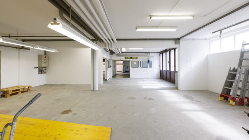 GRAND ESPACE ARTISANAL/COMMERCIAL 7.5 LOCALI À BALERNA (7)