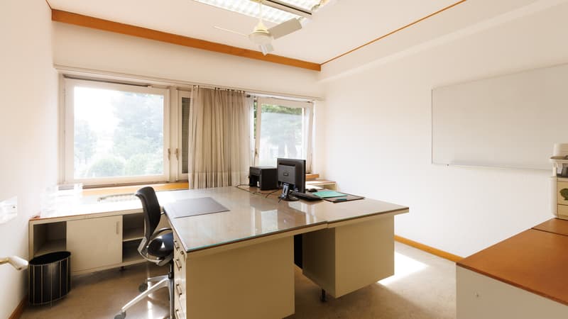 GRAND ESPACE ARTISANAL/COMMERCIAL 7.5 LOCALI À BALERNA (5)