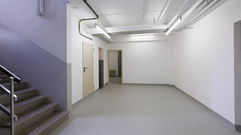 GRAND ESPACE ARTISANAL/COMMERCIAL 7.5 LOCALI À BALERNA (8)