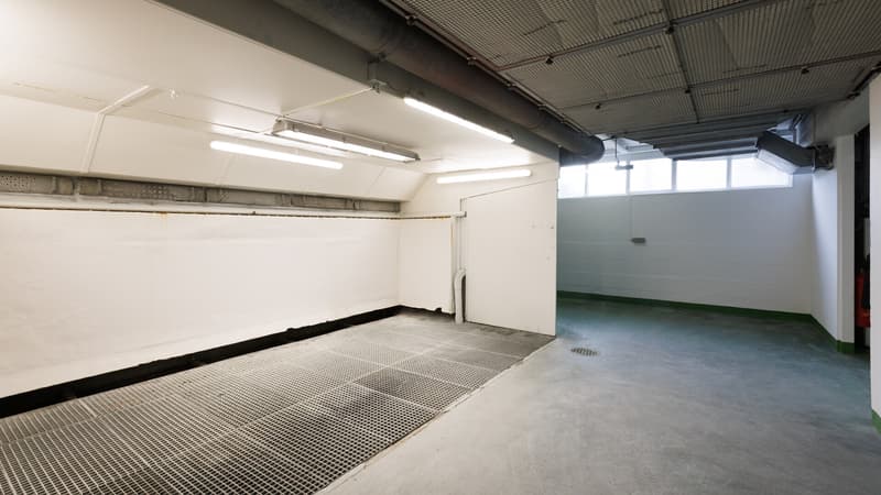 GRAND ESPACE ARTISANAL/COMMERCIAL 7.5 LOCALI À BALERNA (9)