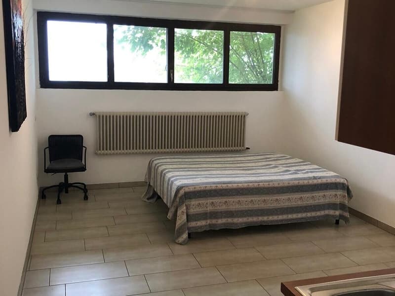 Cozy and Bright Commercial Space in Aldesago (1)