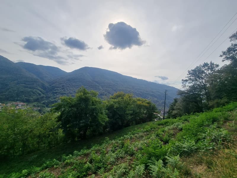 Terrain constructible de 2567 m² avec vue dégagée sur Monteggio (3)