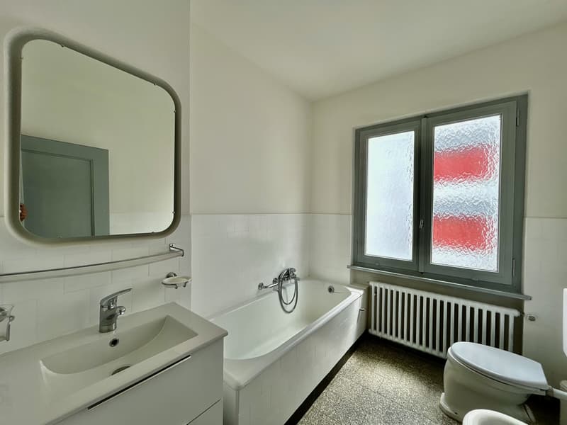 VERMIETUNG 3.5 ZIMMER WOHNUNG IN VIGANELLO, KOMPLETT RENOVIERTE (5)