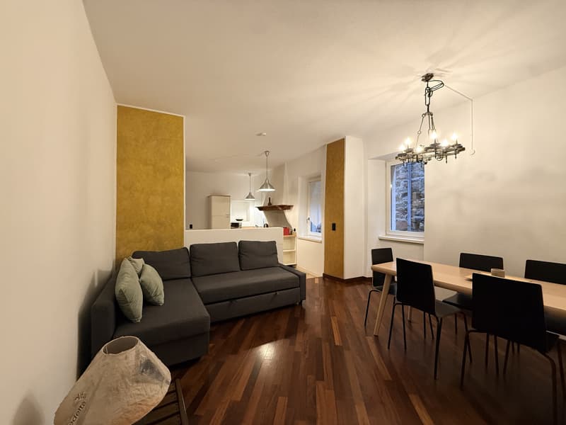 EXKLUSIVE 4-ZIMMER-WOHNUNG IN HISTORISCHEN PALAST IN MORCOTE (1)