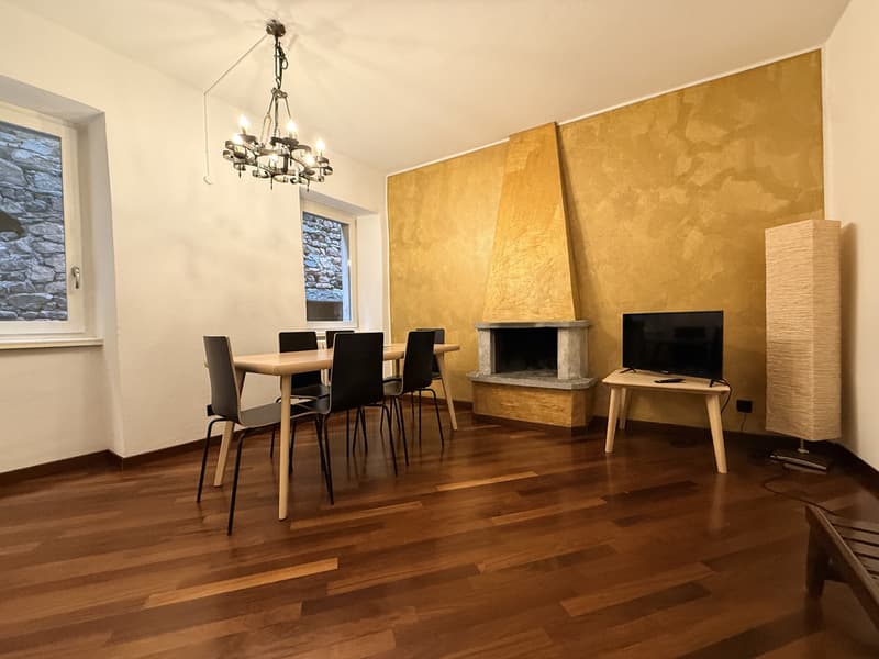 EXKLUSIVE 4-ZIMMER-WOHNUNG IN HISTORISCHEN PALAST IN MORCOTE (3)