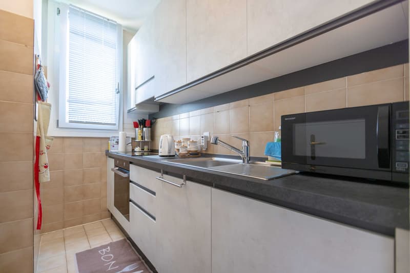 Spacious 3.5-room apartment with terrace in a serviced area in Pregassona (4)