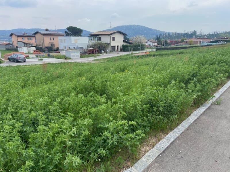 TERRENO DI 600 MQ CON LICENZA PER UNA VILLA A STABIO (3)