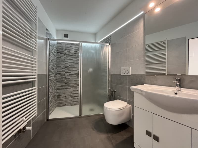 Modern 2.5-room apartment with pool and private garden in Barbengo (5)