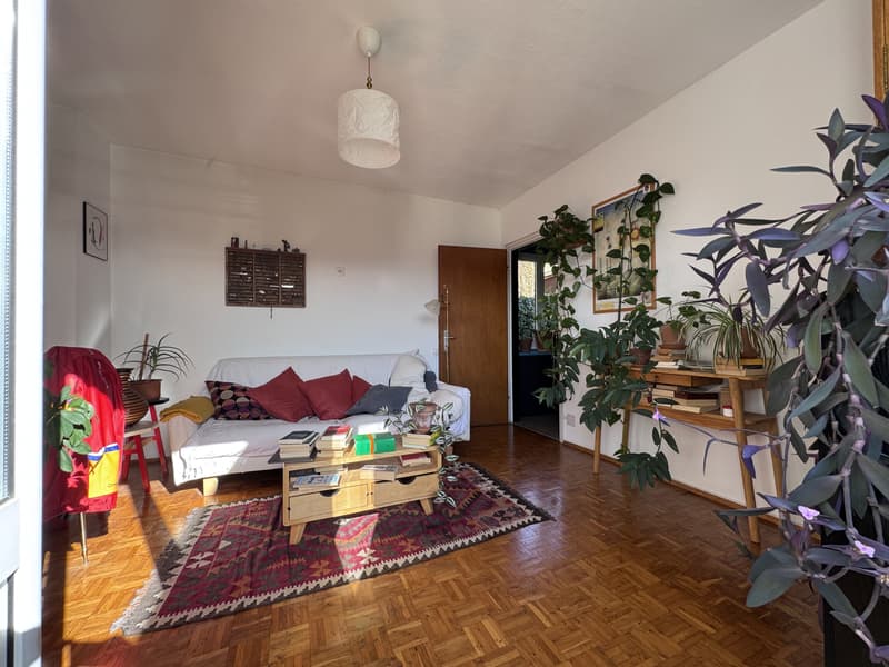 Maison caractéristique avec vue panoramique à Bedigliora (6)