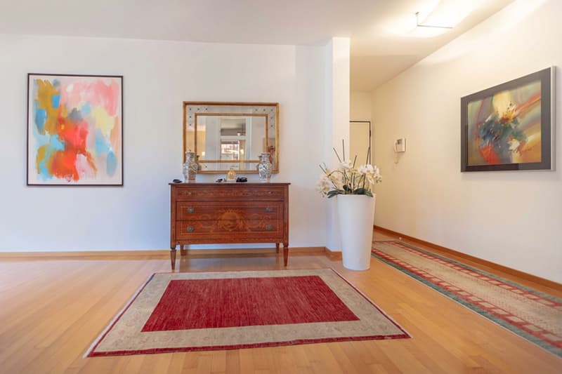 OCCASION - LUMINEUX 3.5 PIÈCES AVEC VUE LAC ÉPOUSTOUFLANTE À BISSONE (5)