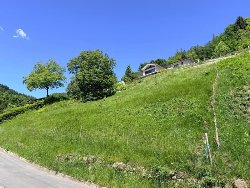 Bauplatz von 1237 m² mit Panoramablick - Aranno (3)