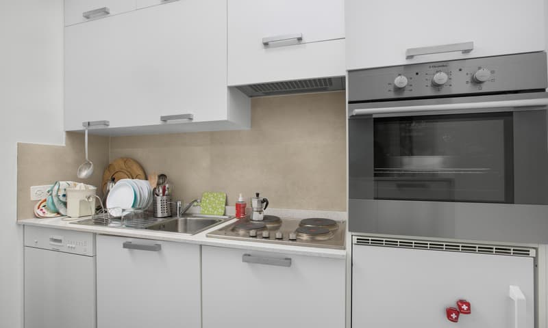 Élégant 2.5 pièces dans un emplacement pratique à Lugano Cassarate (4)