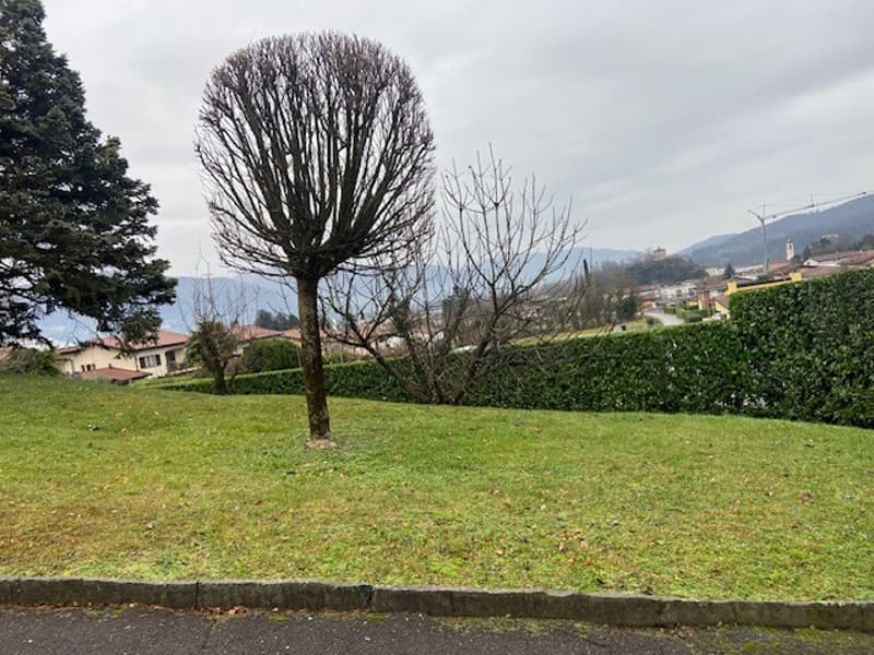 Bauplatz von 705 m² in der Zone Montalbano in Stabio (5)